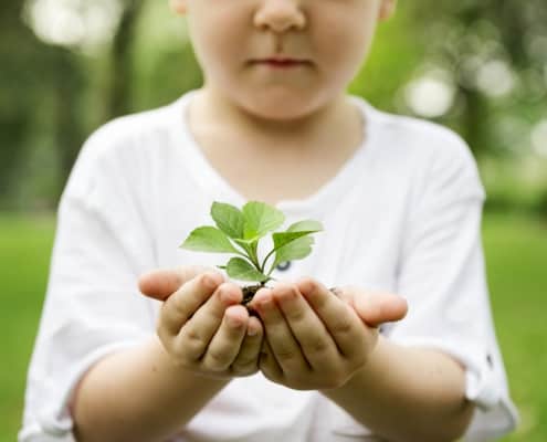 Digiteal Forest Growing tree in child's hands