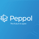 Peppol blog image