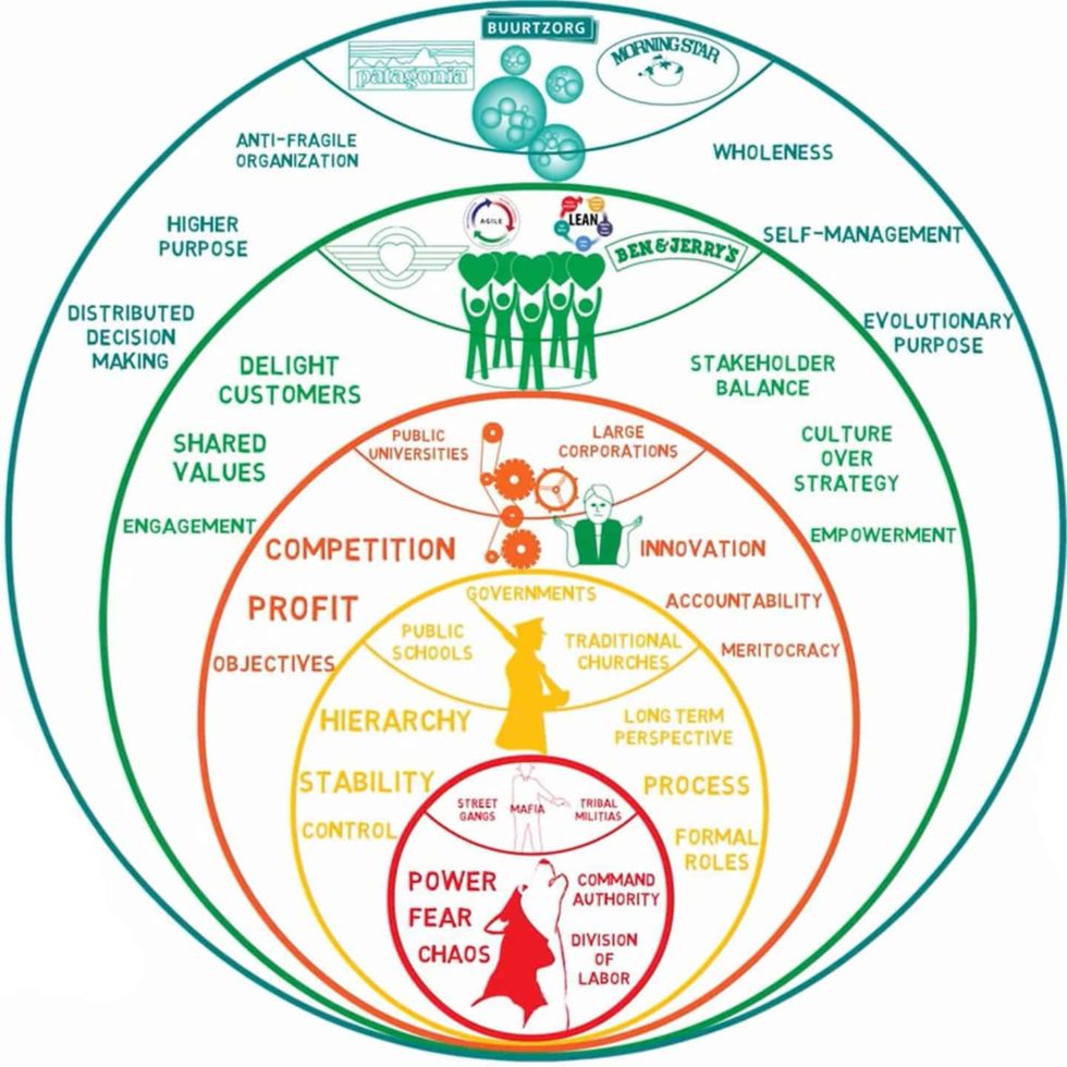 Representation of Teal organization in comparison with traditional management styles